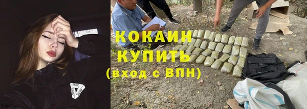 гидра Алзамай
